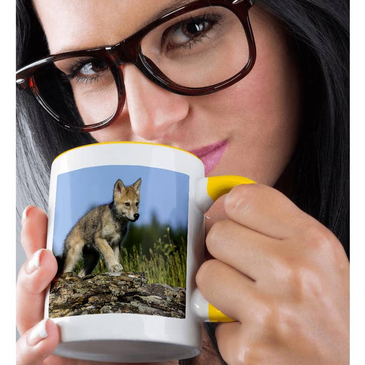 3dRose - Wholesale Coffee Mug - 3dRose, Wolf pup. , Mug1