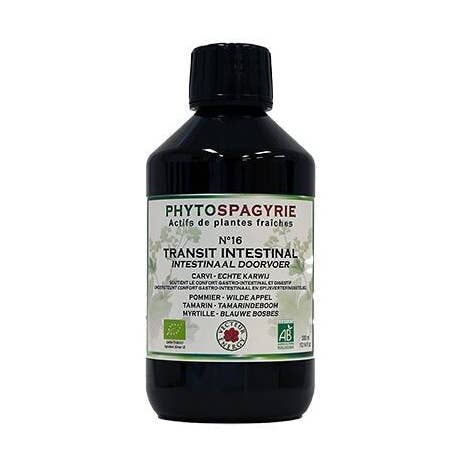 Synergies Phytospagyrie N16* : Transit Intestinal 300ml pour la vente par Vecteur Energy