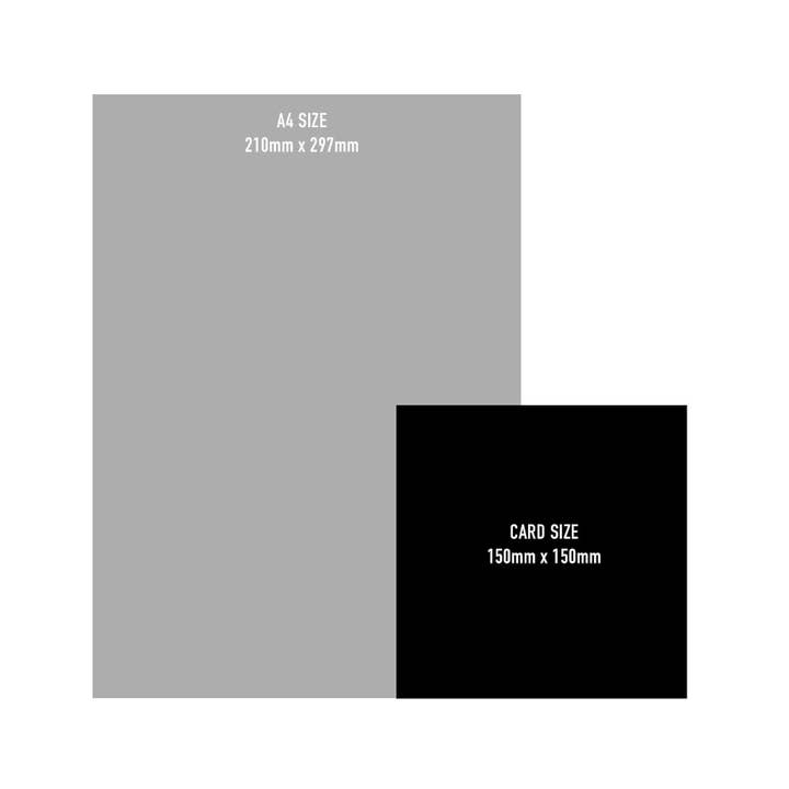 Lola Design Ltd - Wholesale Everyday Greeting Card - Butterfly with Peonies Blank Art Card by Lola Design3