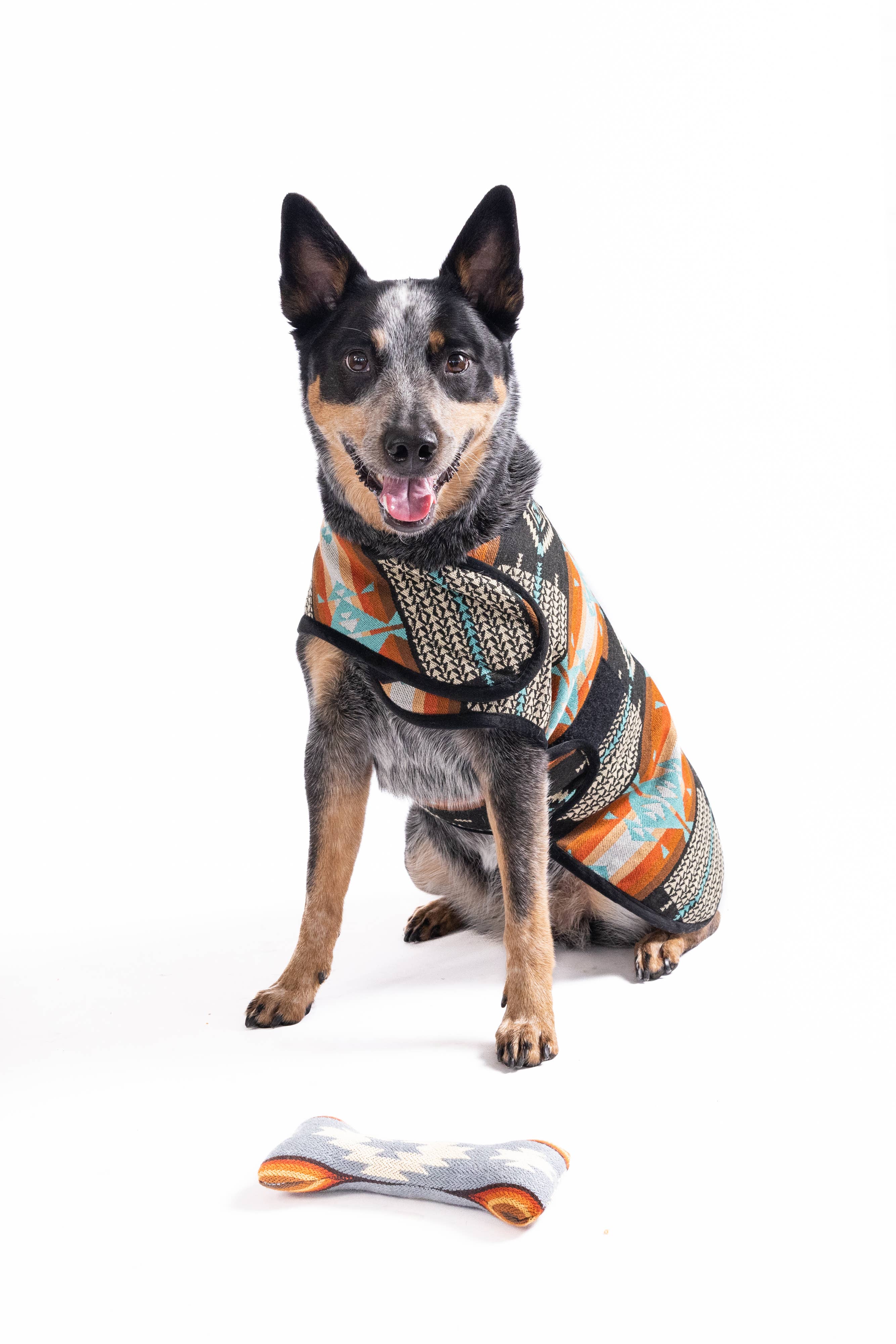 CHILLY DOG LLC - Wholesale Pet Coat - Dog - Black Canyon Dog Blanket Coat4
