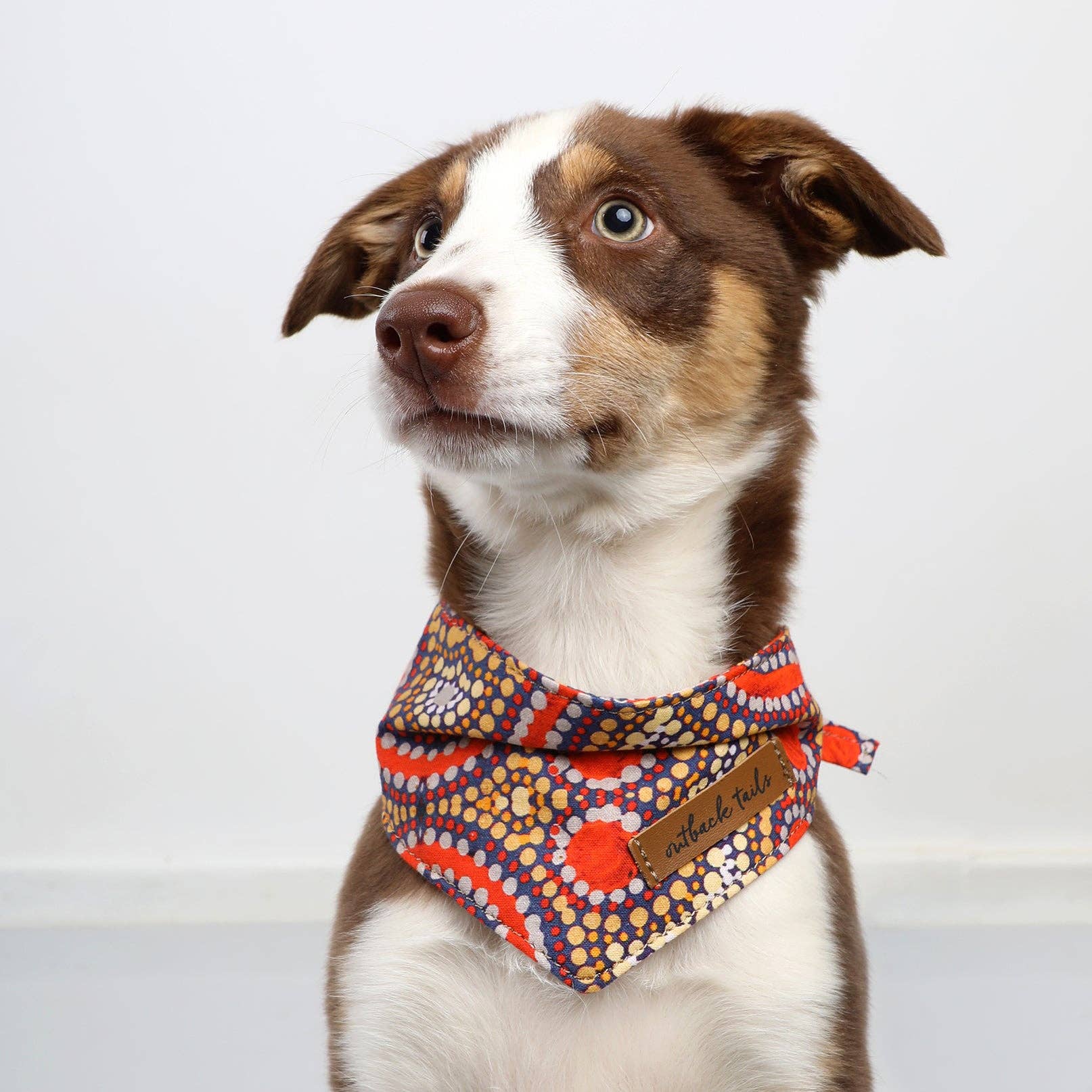 Outback Tails – Engroshandel Bandana - Hund – Hundebandana - Snake Dreaming3