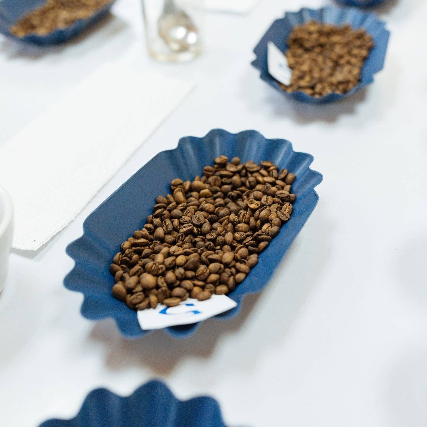 Lady Falcon Coffee Club - Wholesale Coffee beans - Tanzania Mara Tarime AA1