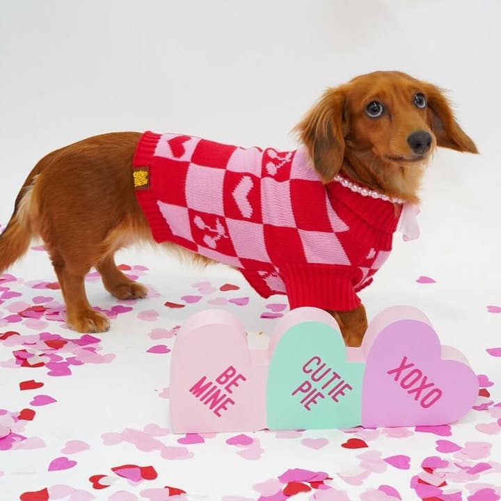 Roll Neck Dog Knitted Love Sweater for wholesale by Sunbean