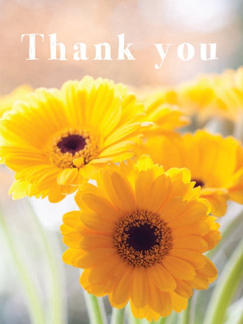 Photonotes Notecards - Yellow Gerbera (pack of 5) for wholesale by Leonard Smith