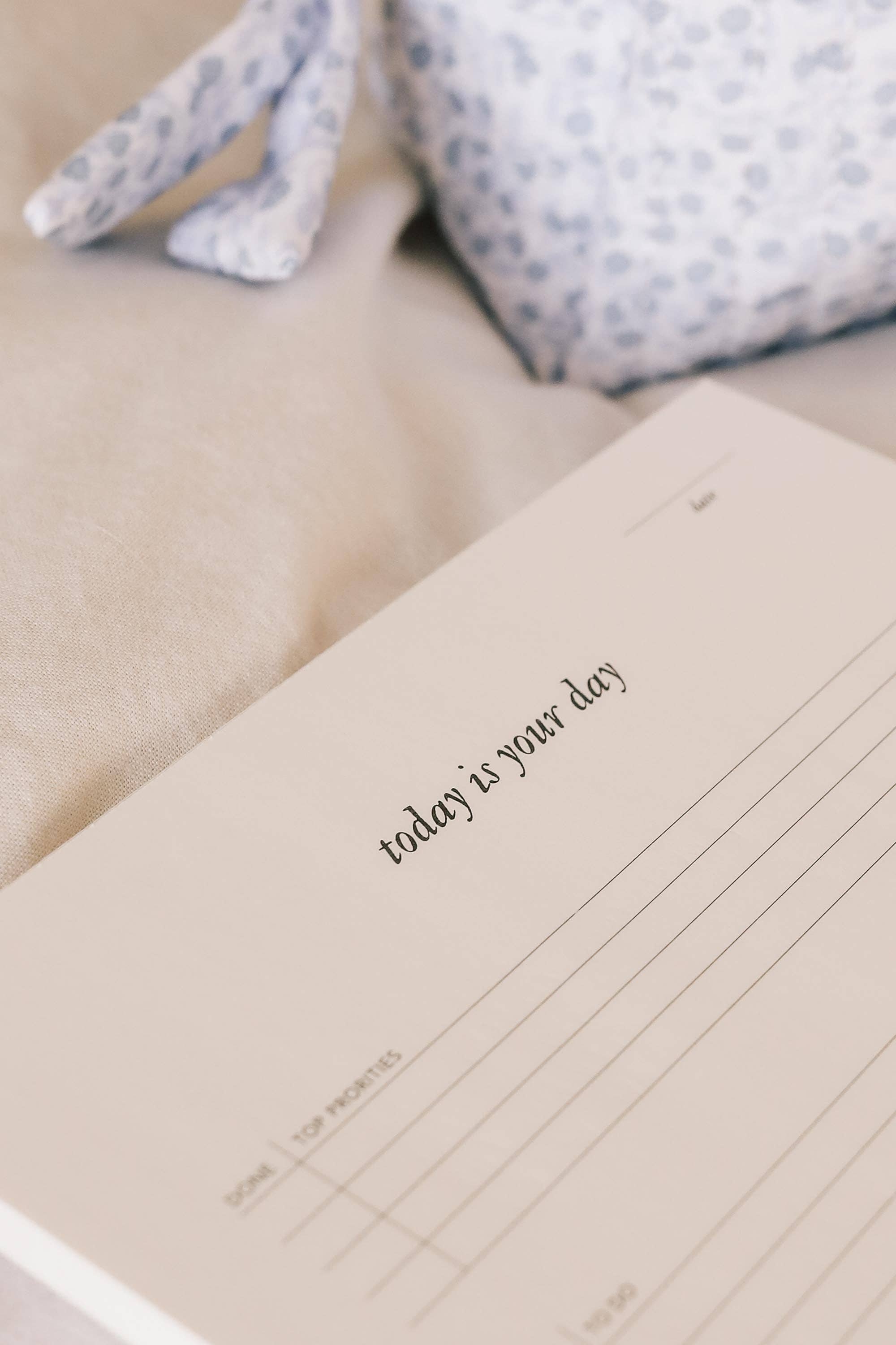 Strawberry Goose - Wholesale Kladblok - Today is Your Day dagelijkse notitieblok4