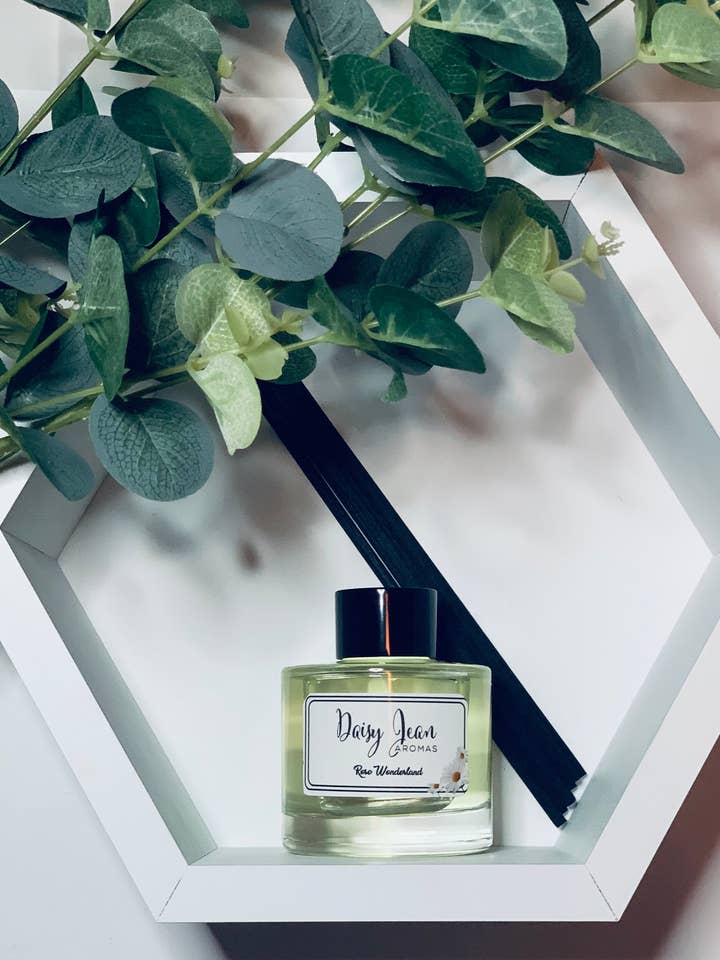 Reed Diffuser for engroshandel hos Daisy Jean aromas