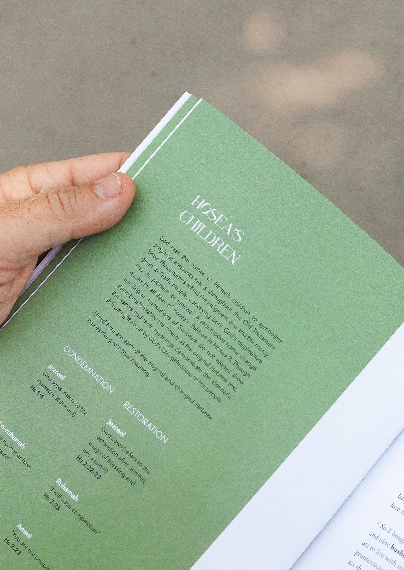 She Reads Truth - Venta al por mayor Libro de religión - Libro del legado de Oseas | Lee la verdad4