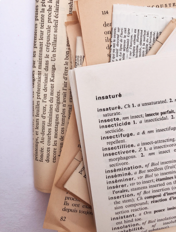 Chapteries - Wholesale DIY Craft Kit - Book pages kit4