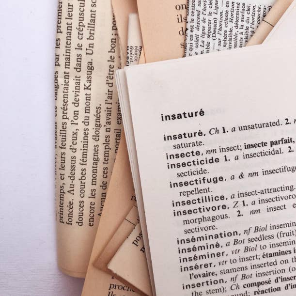 Chapteries - Wholesale DIY Craft Kit - Book pages kit4