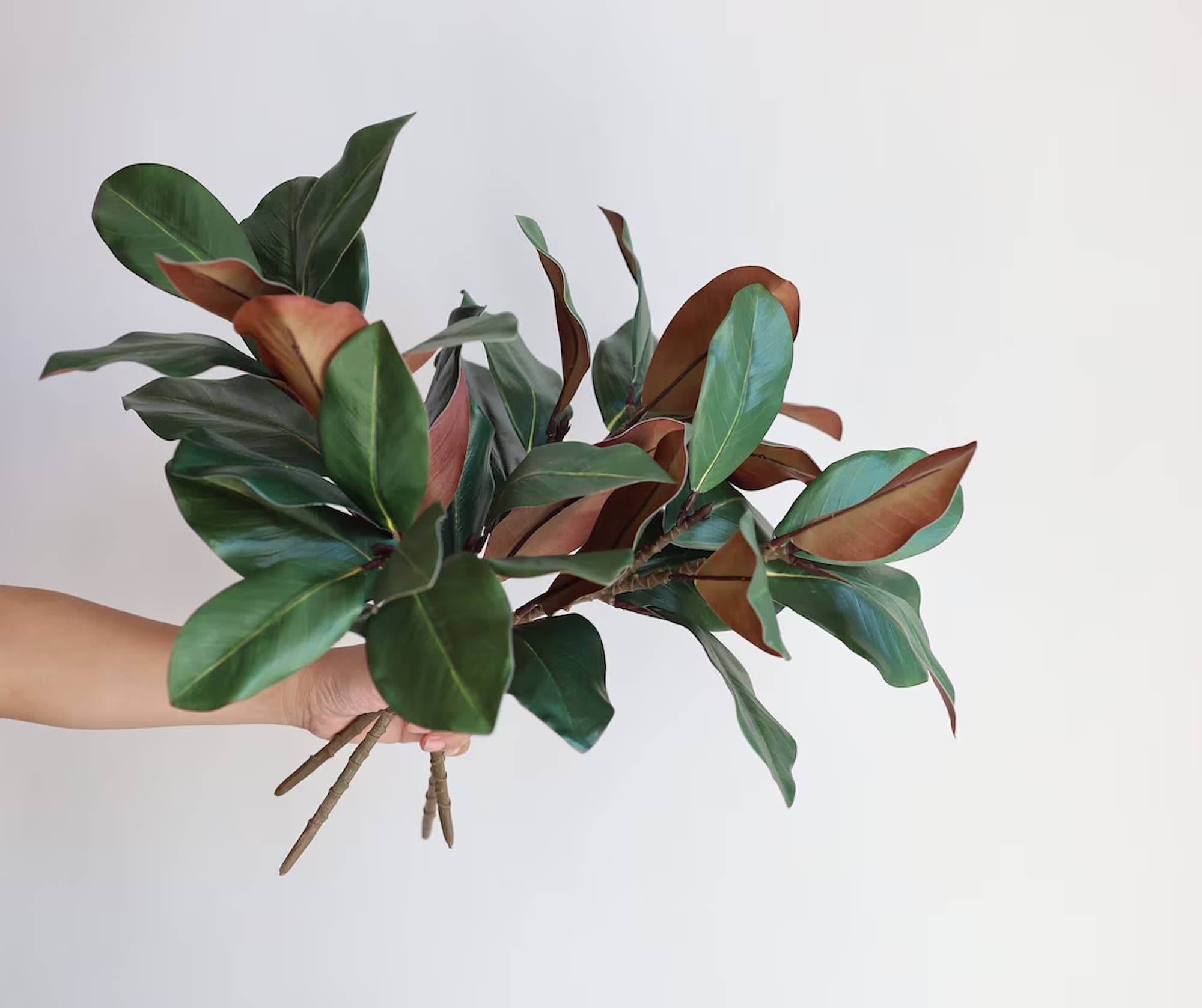 Angel Isabella - Vente Fleurs artificielles - Tige de magnolia ultra réaliste Real Touch de 22" - 10 feuilles5