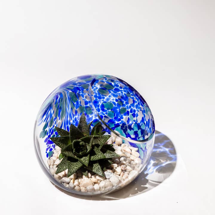 ApricotMint - Wholesale Terrarium - 7" Hand Blown Art Glass Terrarium