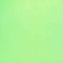 Malibu Sugar - Wholesale Camisole - Women's - Full Camisole Junior/Women's One Size15