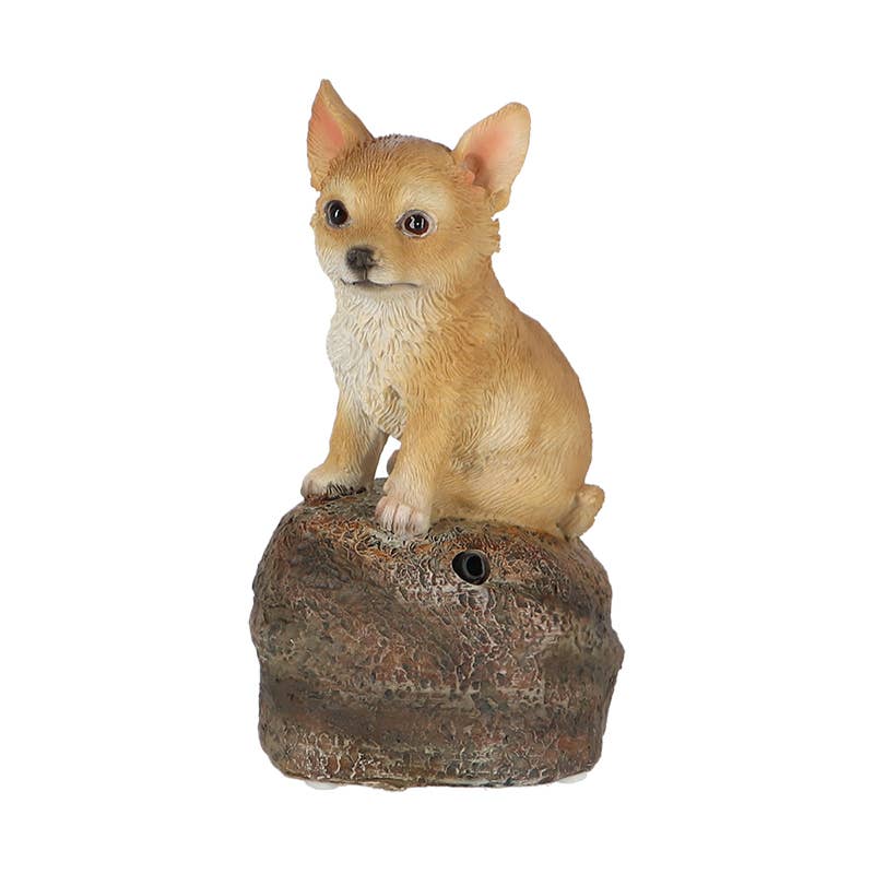 Esschert Design USA - Vente Bibelots/décorations d'extérieur - Chiens d'accueil à détecteur de mouvement, 4 styles d'assistance1