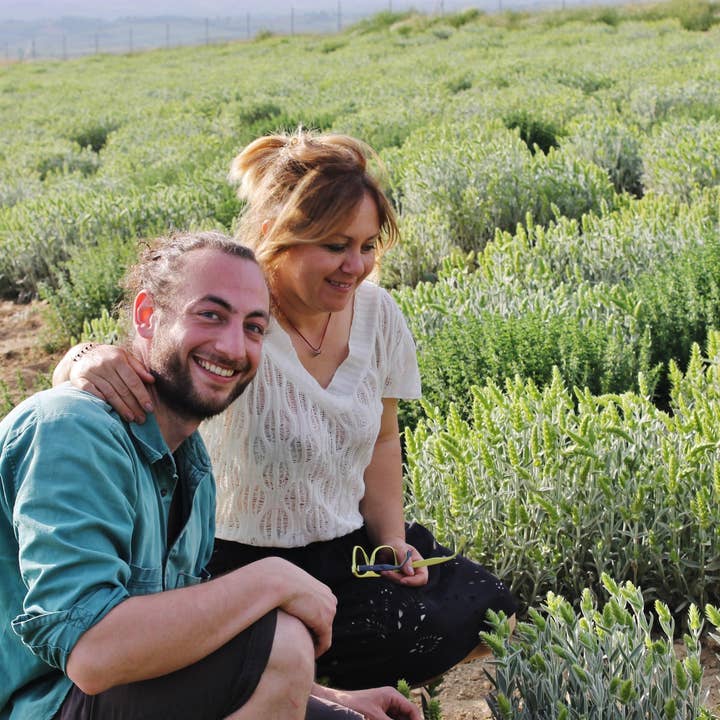 Aroma Olymp – Großhandel Gesundheits-/Entgiftungstee – Griechischer Bio Bergtee vom Olymp5