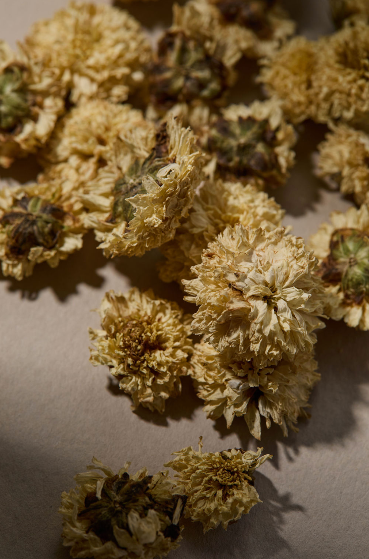 Ceremony - Wholesale Loose Tea - Chrysanthemum Tea2