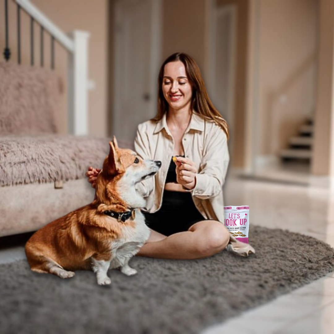 The Granville Island Pet Treatery (Canada) - Vente Friandises – chien - Friandises lyophilisées au saumon sauvage pour animaux de compagnie : riches en protéines et naturelles7