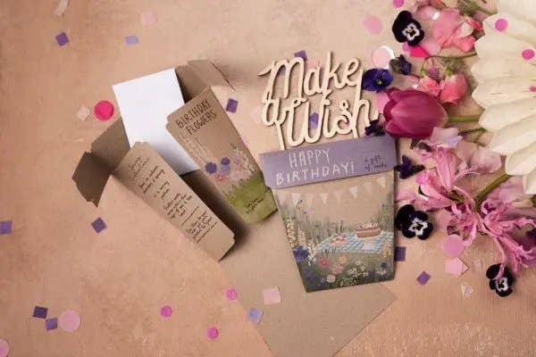 Sow 'n Sow - Wholesale Plant seeds - Happy Birthday Picnic Gift of Seeds (Australia Only)3