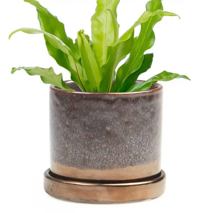 Chive UK - Wholesale Plant Pot - Minute Handmade Ceramic Planter Indoors Pot With Saucer39