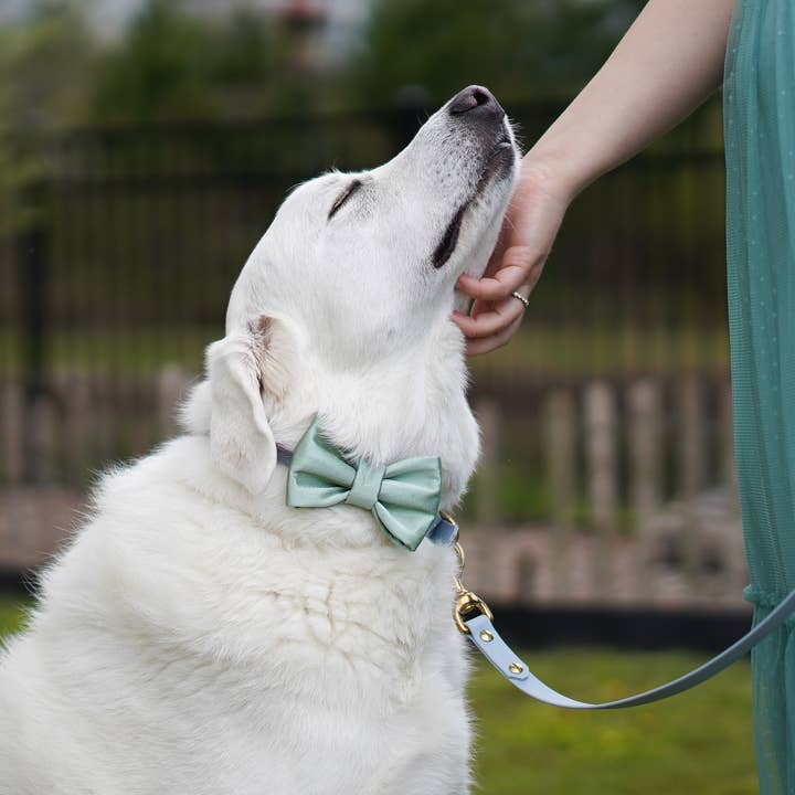 Duke's Dog Co. - Vente Nœud papillon – chien - Nœud papillon pour chien | Sage Satin | Nœud de mariage pour chien