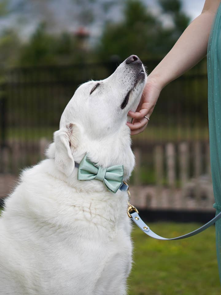 Dog Bow Tie | Sage Satin | Wedding Dog Bow for wholesale by Duke's Dog Co.