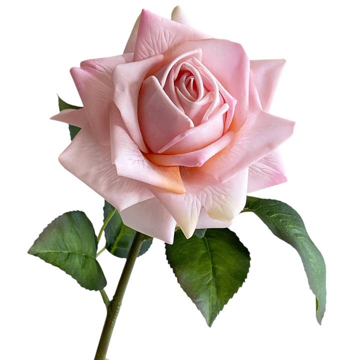 Angel Isabella - Wholesale Artificial Flowers - 19"-Premium Moisturizing Coating Real Touch Rose4