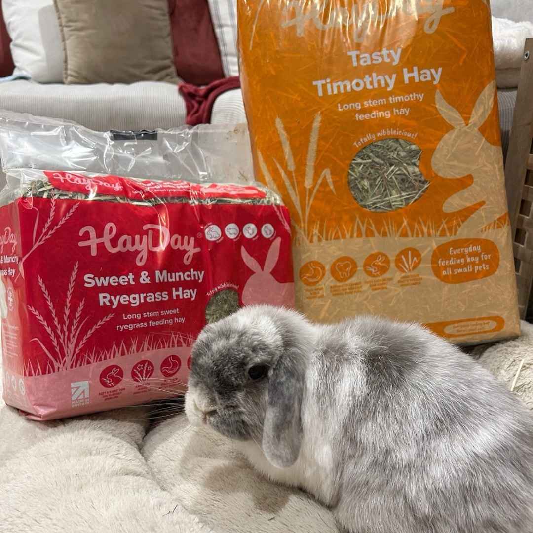 HayDay – wholesale Pet food – Not cat/dog – Sweet and Munchy Ryegrass Hay 1kg6