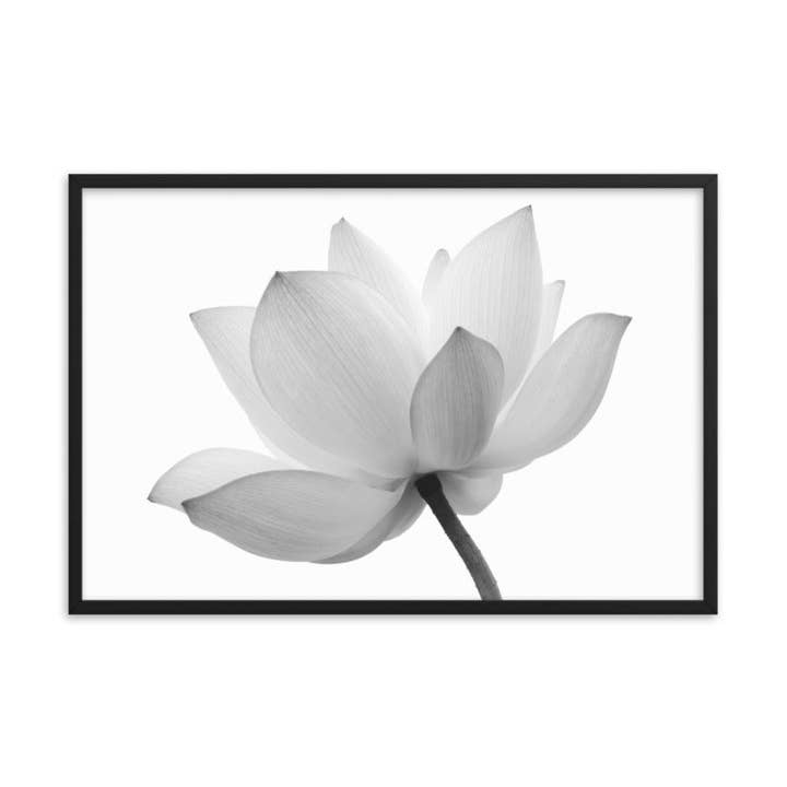 Lotus Blomst Sort og Hvid Blomster Natur Foto Indrammet Kunst for engroshandel hos Pipa Wall Art & Home Decor