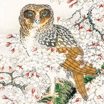 FANGE 12X12 DOPPELKARTEN SNC 202477 für den Großhandel von Phenicia