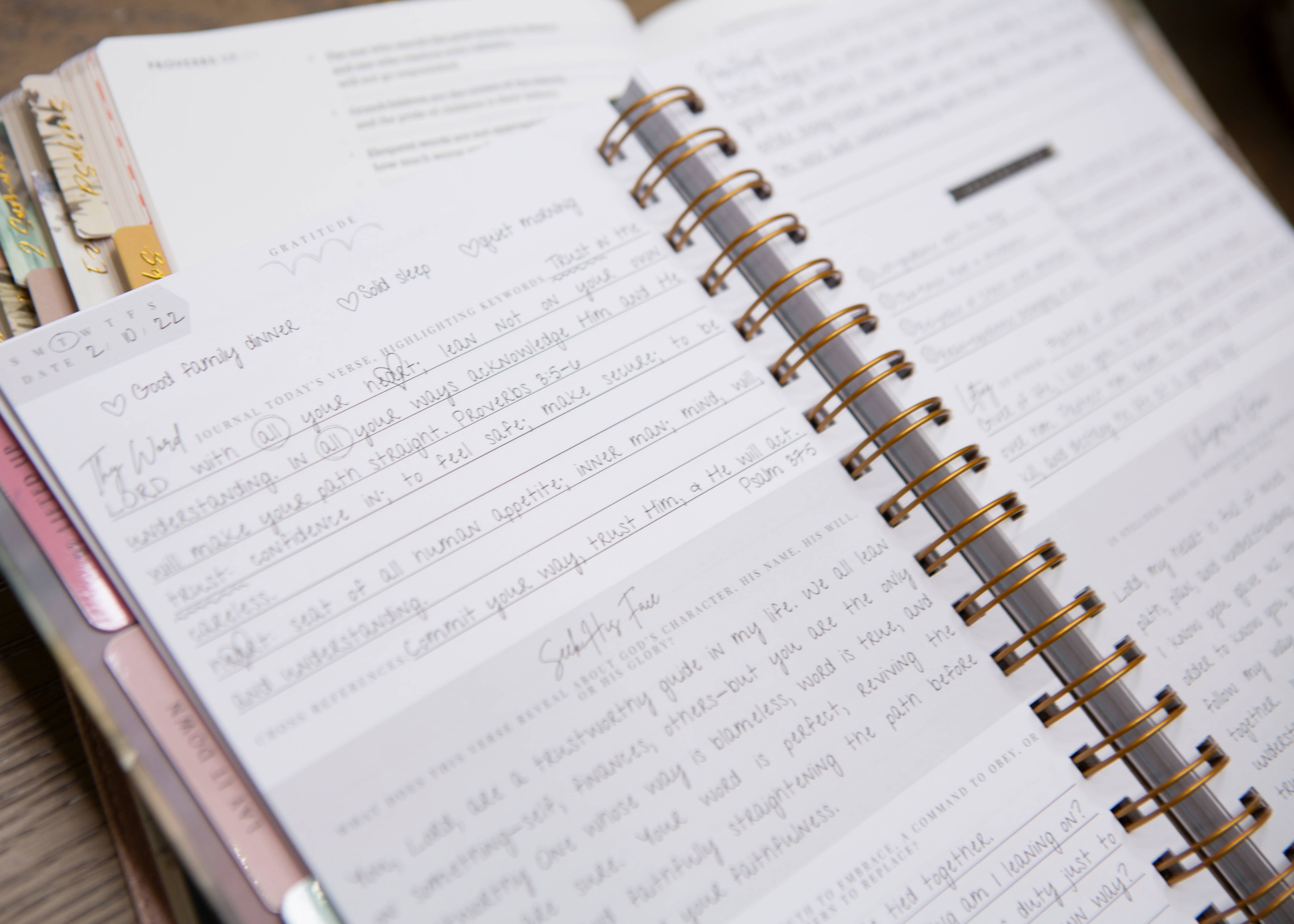 Chosen & Cherished - Wholesale Journal/Diary - New Mercies Prayer Journal for Women12