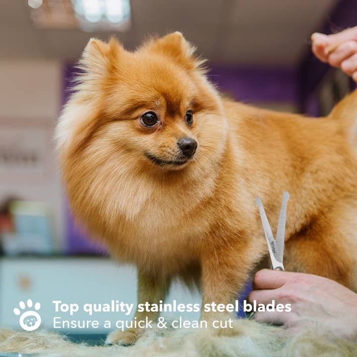 BOSHEL – Großhandel Haustierpflegezubehör – Hund – Hundepflegeschere4