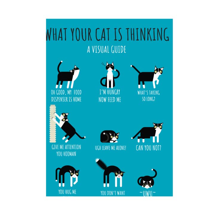 What Your Cat Is Thinking Jumbo Magnet for wholesale by Kalan