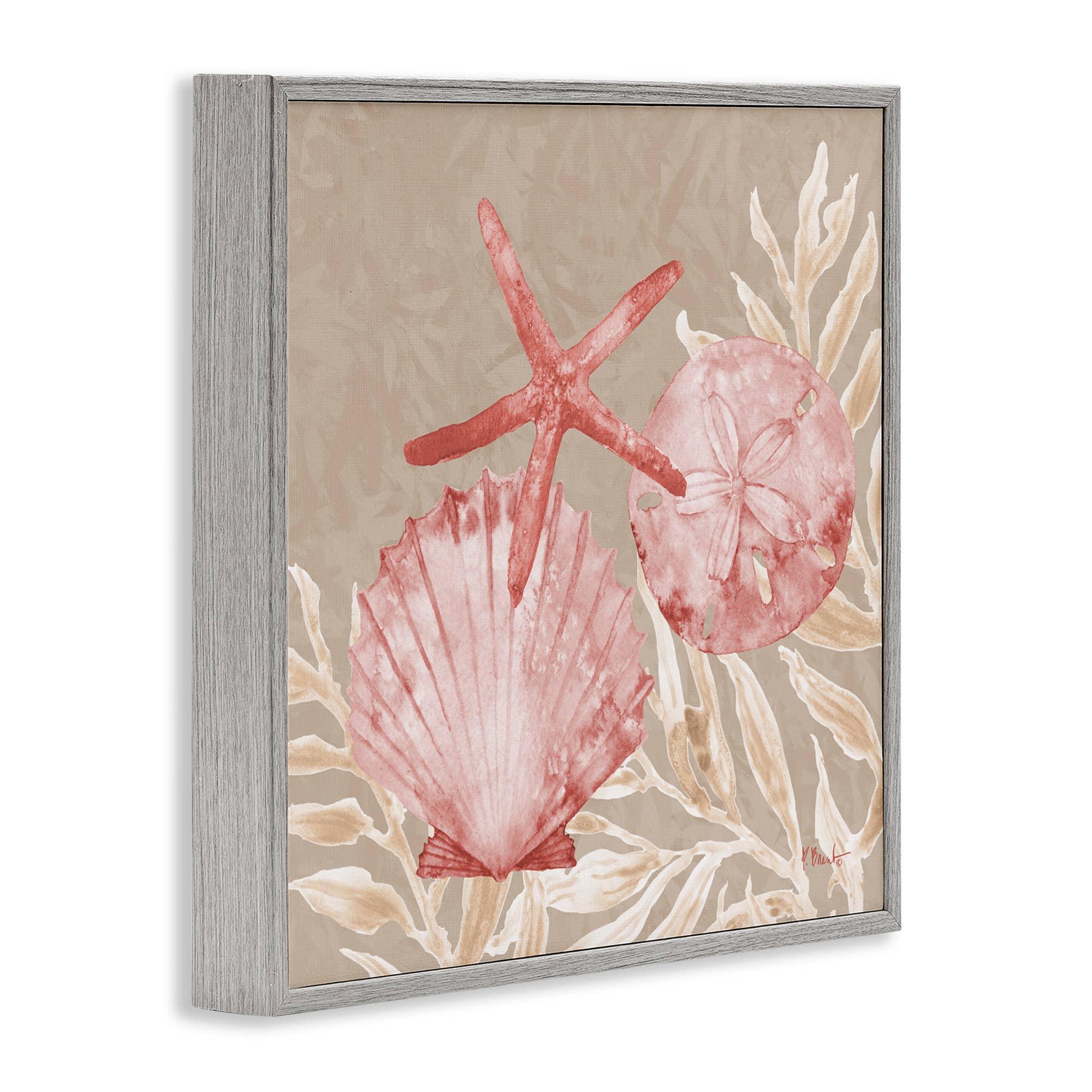 Stupell Industries - Vendita all'ingrosso Cartello da parete - Conchiglie di Tampico e Stelle Marine - Arte da Parete Incorniciata14