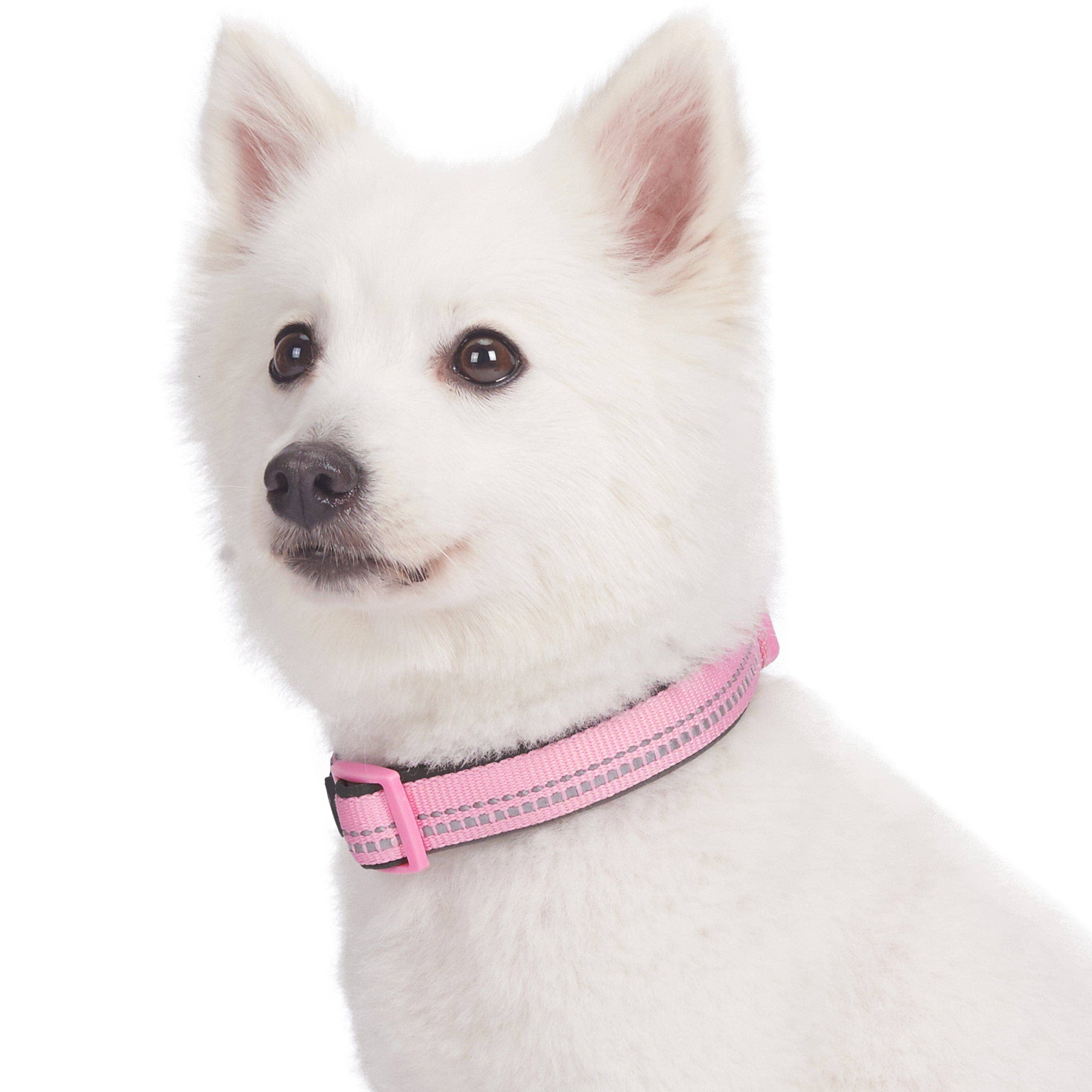 Blueberry Pet - Vente Collier – chien - Collier de sécurité rembourré en néoprène souple réfléchissant 3M52