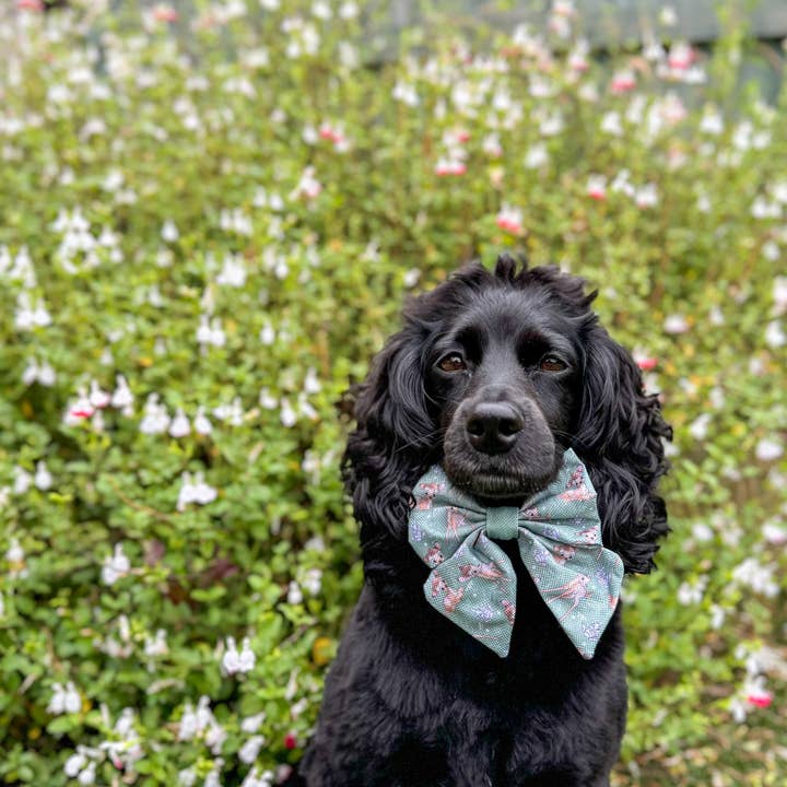 Pawsome Paws - Wholesale Pet Bow Tie - Dog - Disney© Sailor Bow Tie - Bambi + Thumper