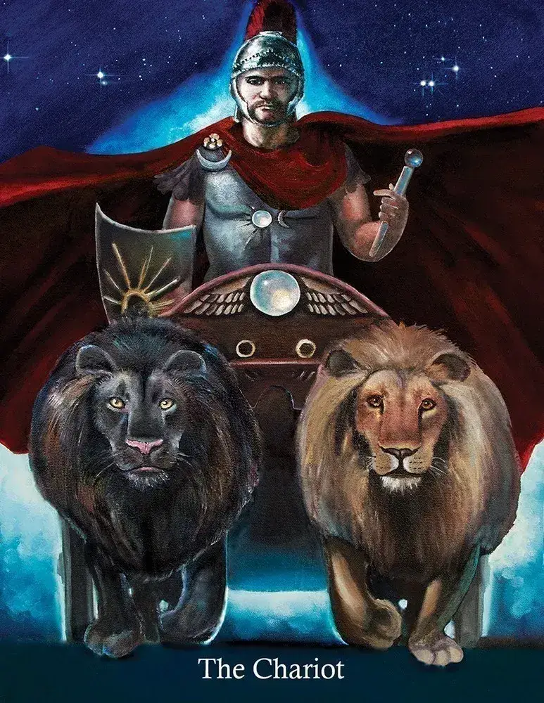 U.S. Games Systems Inc. - Wholesale Tarot Cards - Ancestral Path Tarot1