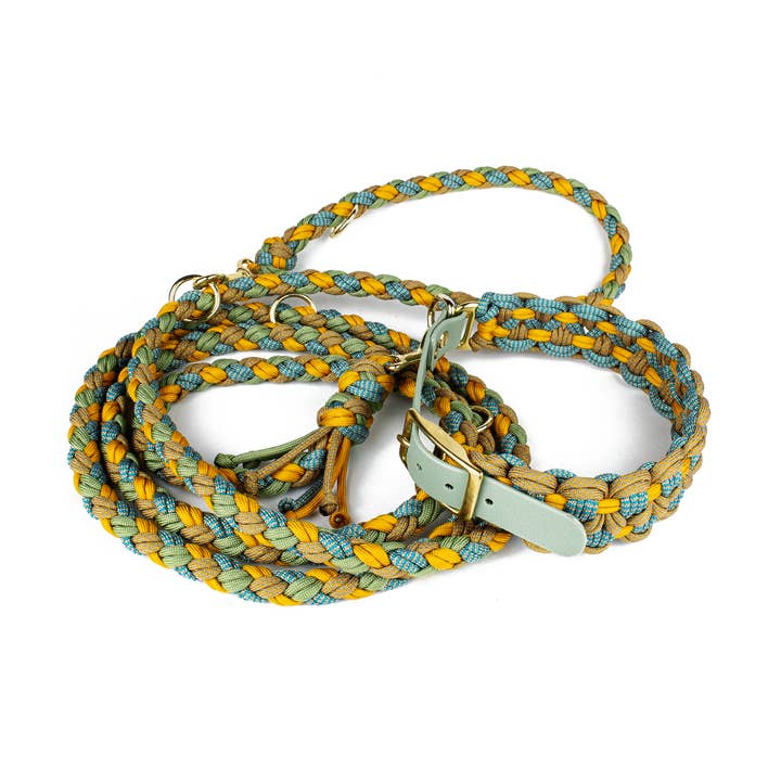 summertime Dog leash Tierluxe Wave for wholesale on Faire3