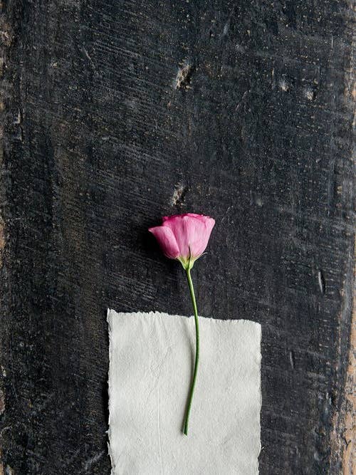 'Pressed I' Fine Art Photography Print for wholesale by White Hill Home