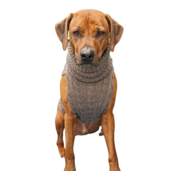 kay-line - Vente Pull – chien - Pull pour chien SMARTY Noisette 100 % laine mérinos1