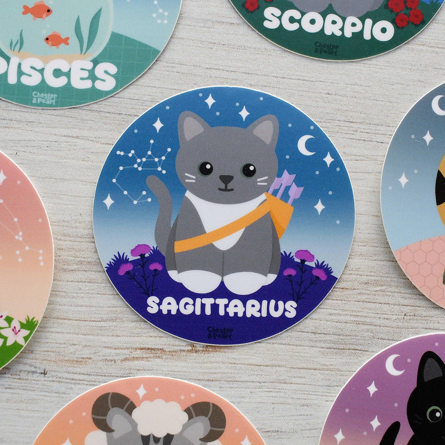 Chester and Pearl - Wholesale Sticker - Sagittarius Zodiac 3-in. Vinyl Cat Sticker1
