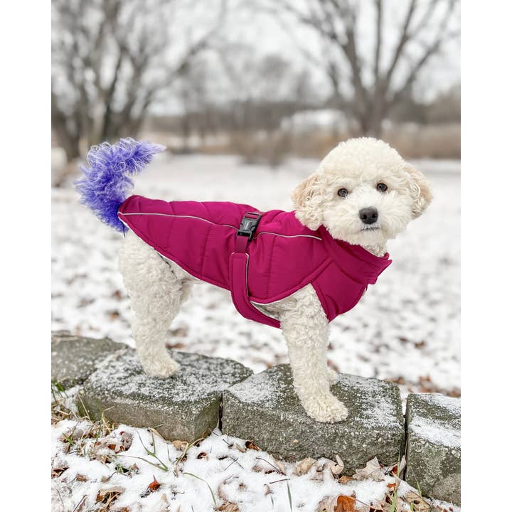 DJANGO - Wholesale Pet Coat - Dog - Whistler Winter Dog Coat - Dusk Blue3