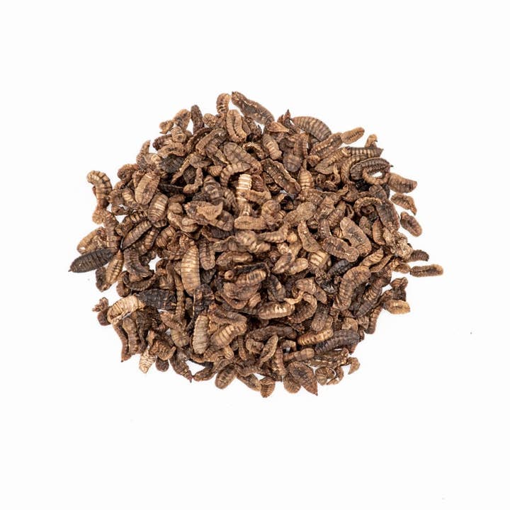 Wormganix Worm Castings - Wholesale Pet supplement – Not cat/dog - Wormganix Hog Nosh 100% Natural Dry Hedgehog Food Oven Roasted BSF larvae Tasty Treats 1 Litre Pouch3