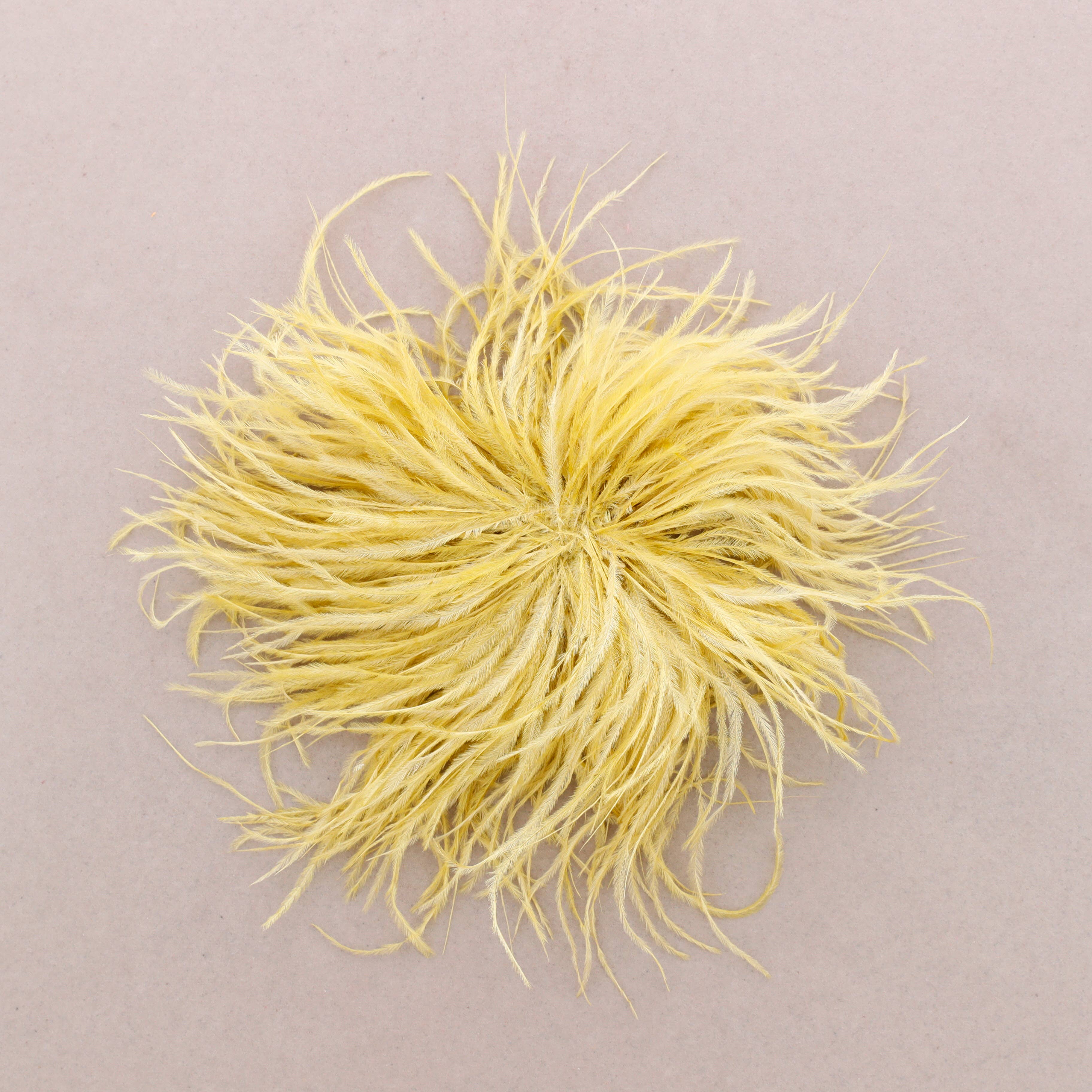 Sonata – wholesale Snap jewellery – Feather Brooch 10-15cm (B)7