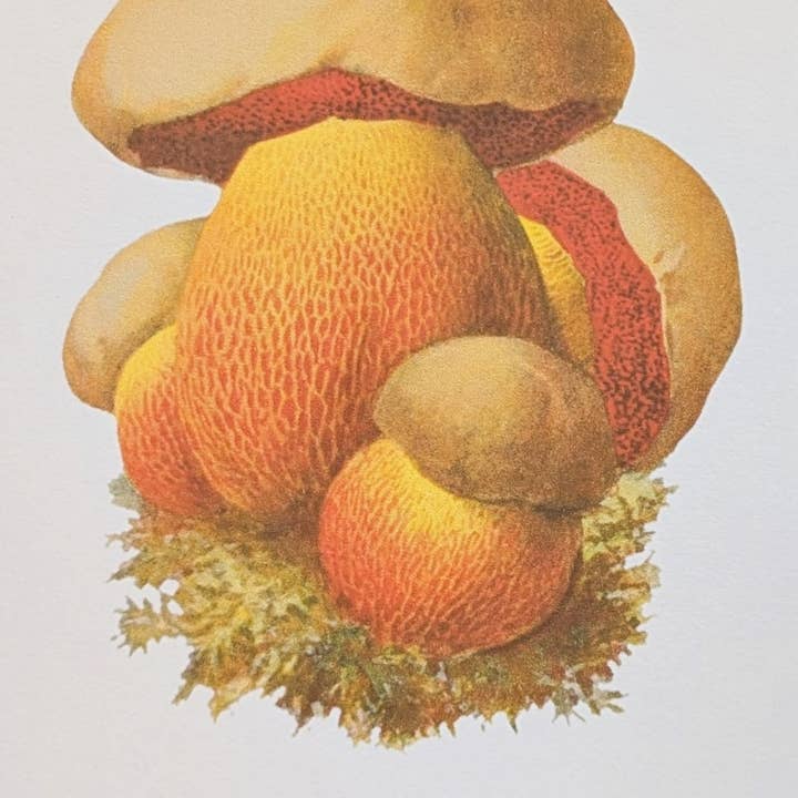 Iamsonotcool - Wholesale Everyday Greeting Card - You Make Me Chub Greeting Card 1