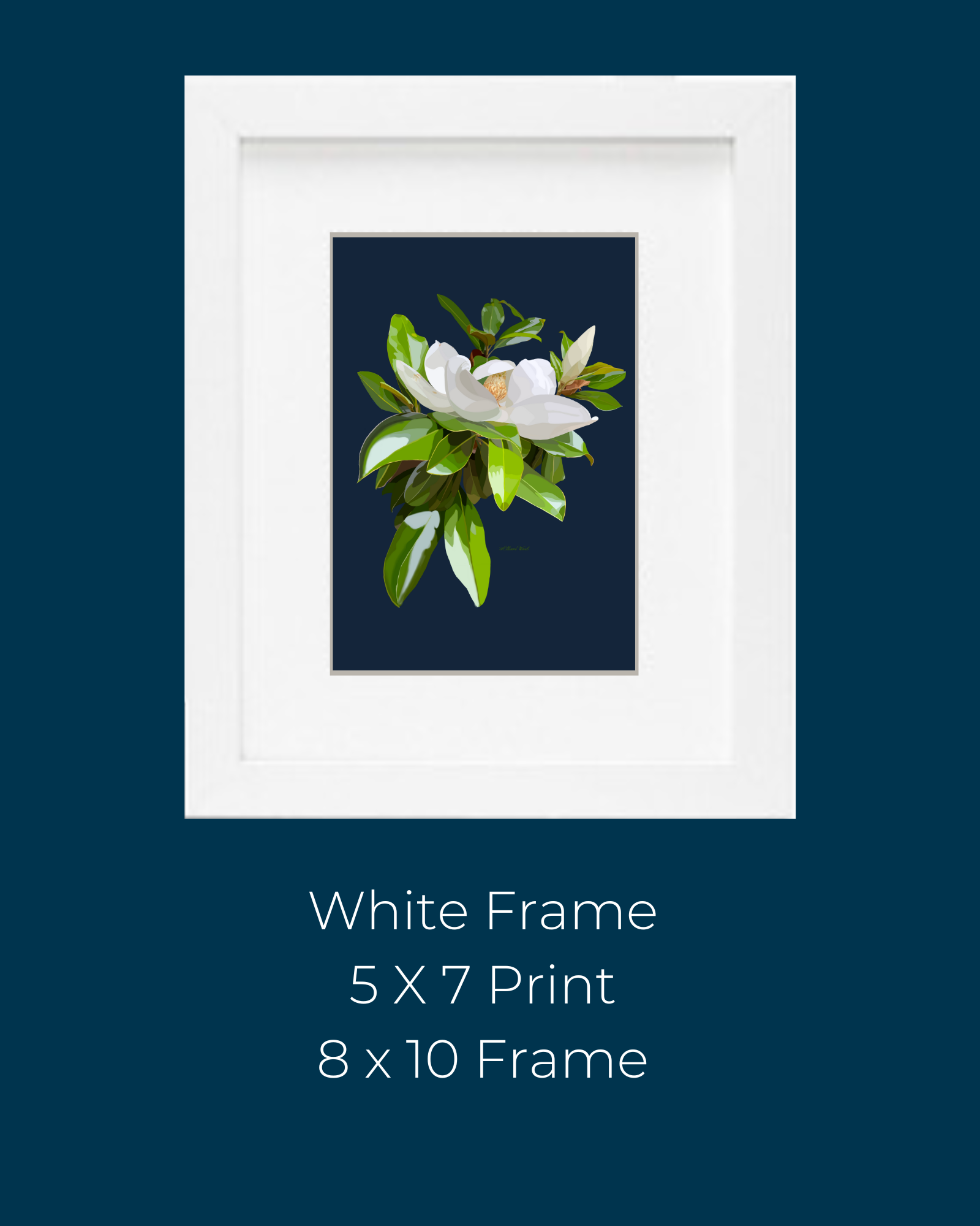 Homeward Studio - Vente Affiche d'art - Impression artistique Open Magnolia on Navy1