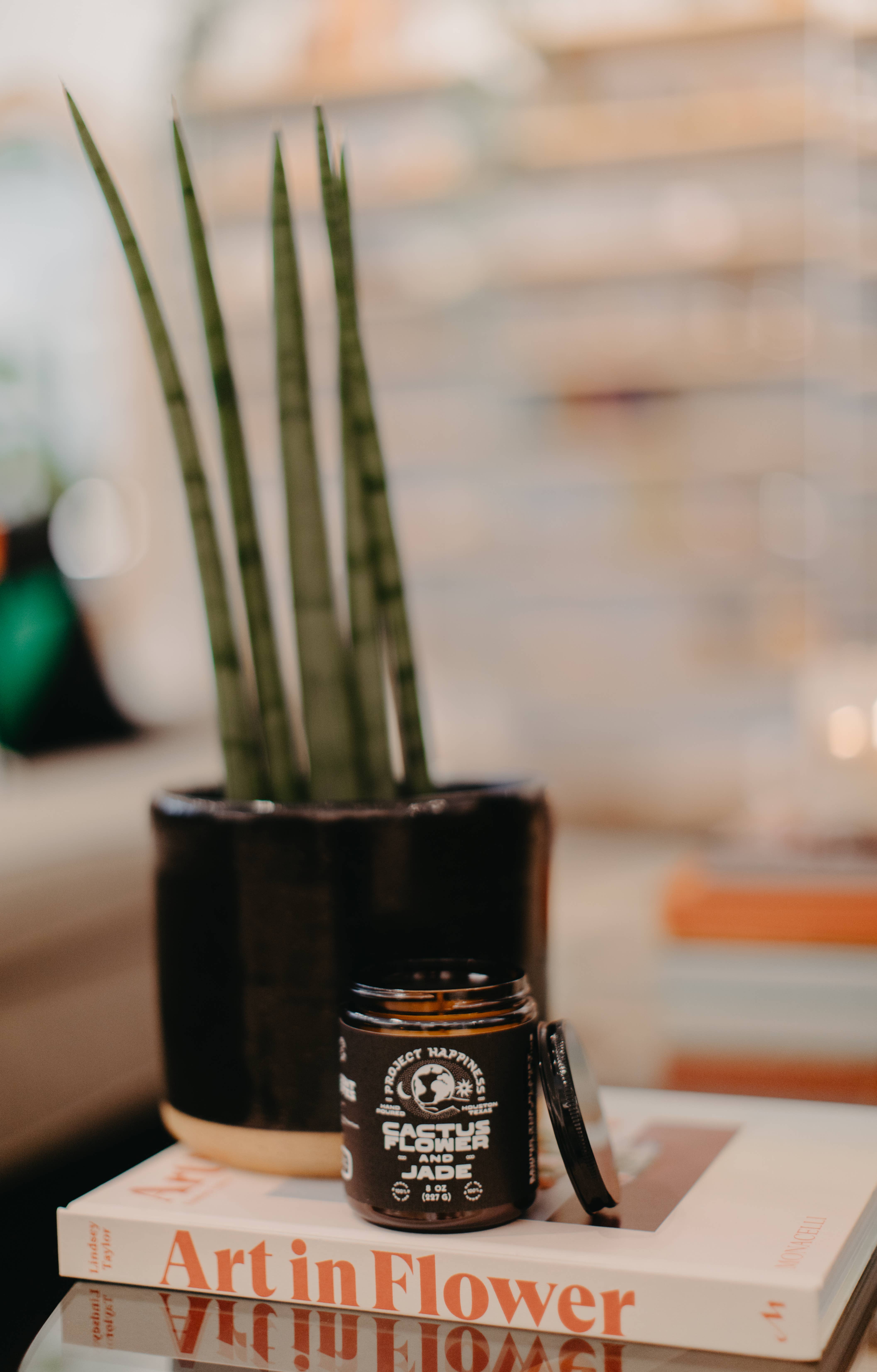 Project Happiness Candle Co. - Wholesale Jar/Filled Candle - Cactus Flower and Jade Soy Candle - 8oz | Valentines Day 5