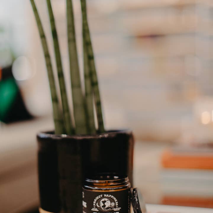 Project Happiness Candle Co. - Wholesale Jar/Filled Candle - Cactus Flower and Jade Soy Candle - 8oz | Valentines Day 5