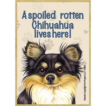 SJT Enterprises, Inc. – wholesale Magnet – En bortskämd rutten Chihuahua (långhårig, svart och solbränd)