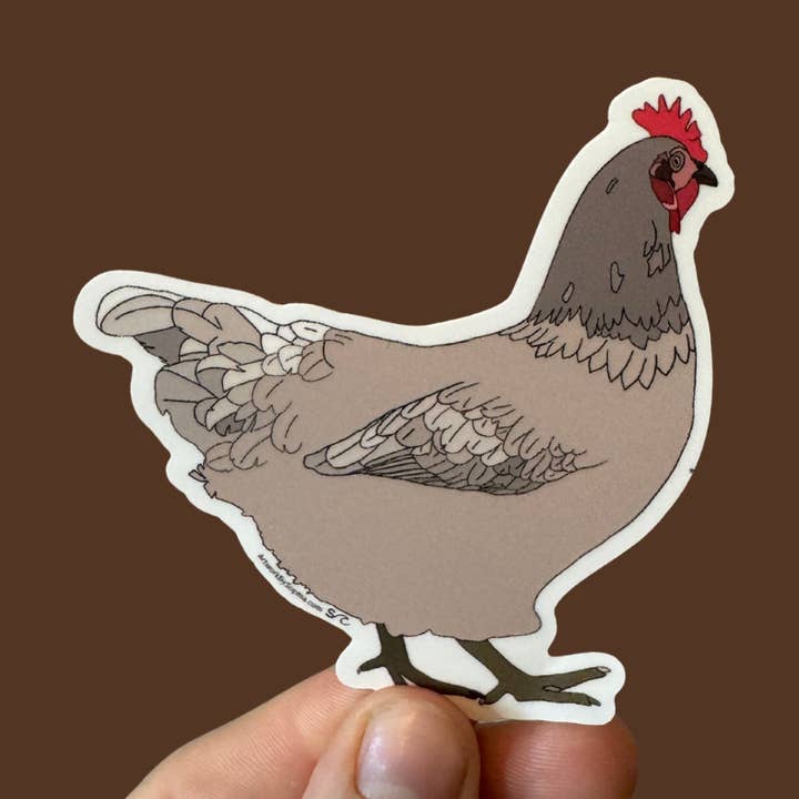 Grå lada kyckling | Vinylklistermärke | Färgad teckning | 3 tum för wholesale av Artwork by Sophia