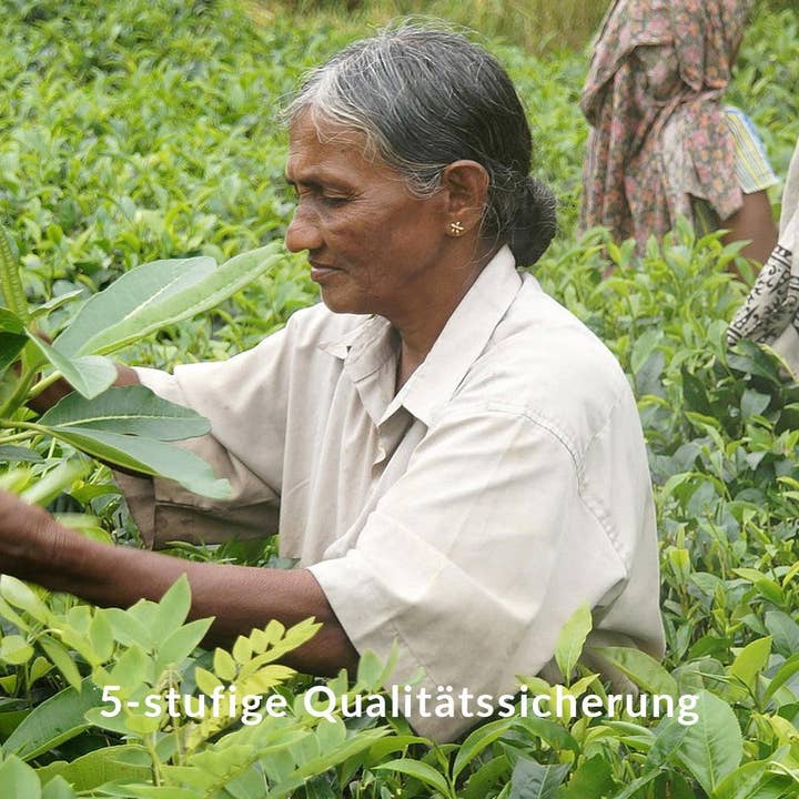 ZWARTE SOULSURFER voor wholesale door Green Lane