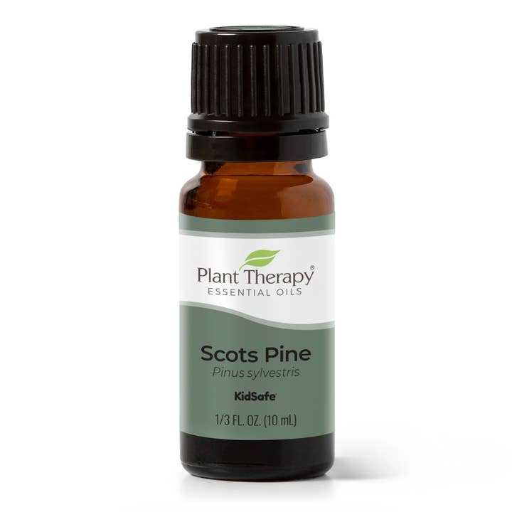 Plant Therapy - Wholesale Essential Oil - Scots Pine Essential Oil 10 mL